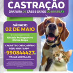 MAIOR MUTIRÃO DE CASTRAÇÃO DO BRASIL