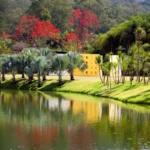 Inhotim, maior museu a céu aberto da América Latina, inicia celebração de 20 anos com três novas obras