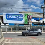 Betim se prepara para bater recorde nacional de castração de pets neste fim de semana